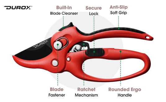 Engineered for Effortless Pruning