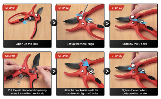 Simple 6-Step Blade Replacement