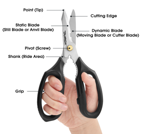 Essential Guide to Scissor Components, Functions, and Terminology