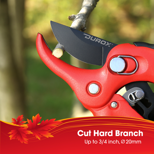 Ratchet Pruning Shears