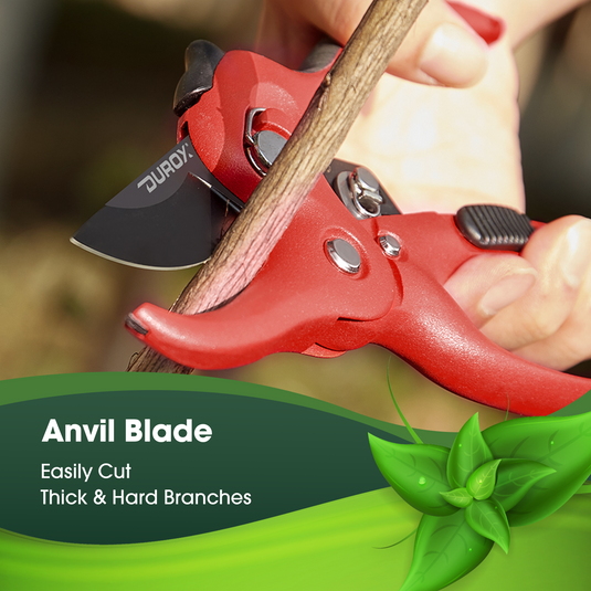 Ratchet Pruning Shears