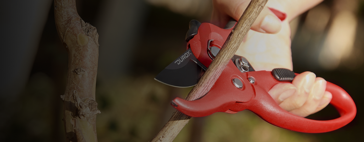 Effortlessly Cut Branches