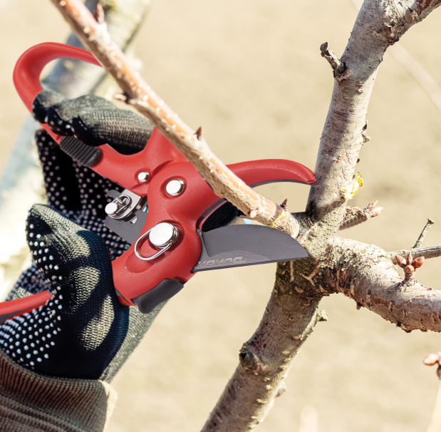 Close-up of DUROX ratchet pruning shears cutting through a thick branch, demonstrating their precision and strength for effective pruning.